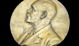 Das Motto des diesjährigen Nobelpreises der Physik war das Verständnis komplexer Systeme.