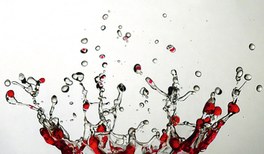 Physik Journal 2025/12