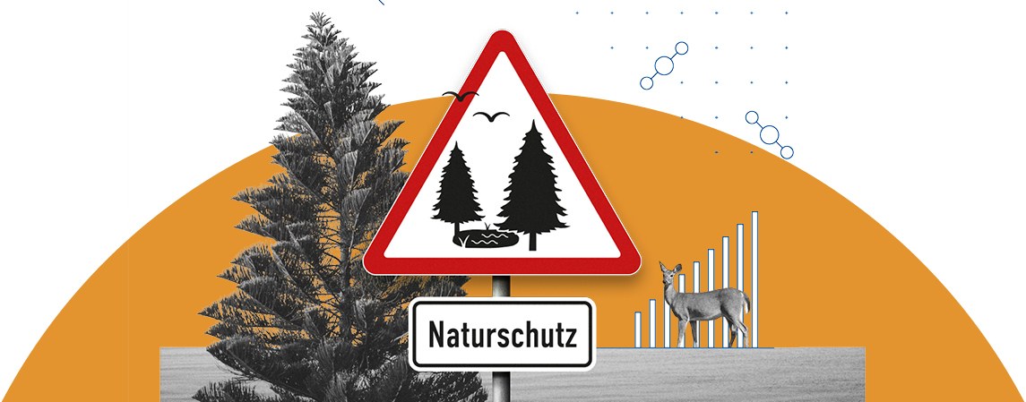…im Naturschutz verstärkt Maßnahmen zu fördern, bei denen CO<sub>2</sub>-Speicherung durch Aufforstung, beim Schutz und der Wiederherstellung von Mooren sowie bei der langfristigen Nutzung von Holz als Baustoff stattfindet.