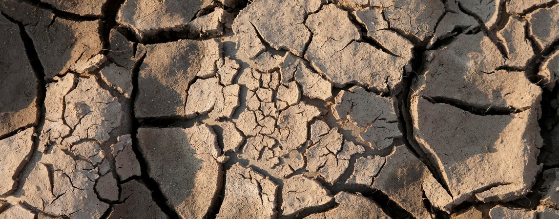 Trockener Boden